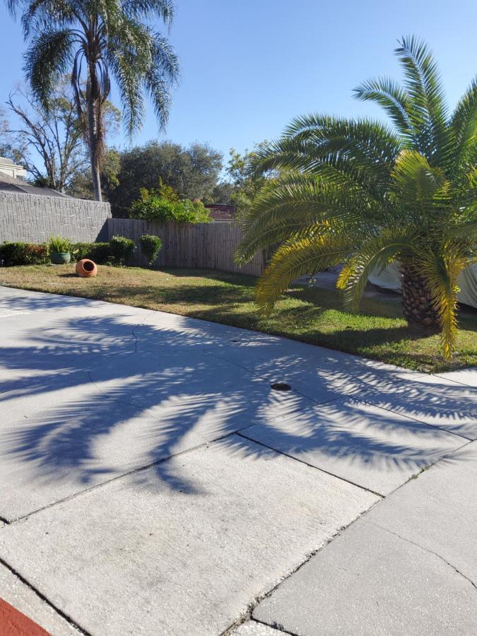 Beautiful Apartment Close To Everything Tampa Exteriér fotografie