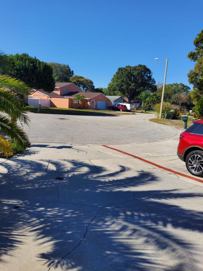 Beautiful Apartment Close To Everything Tampa Exteriér fotografie