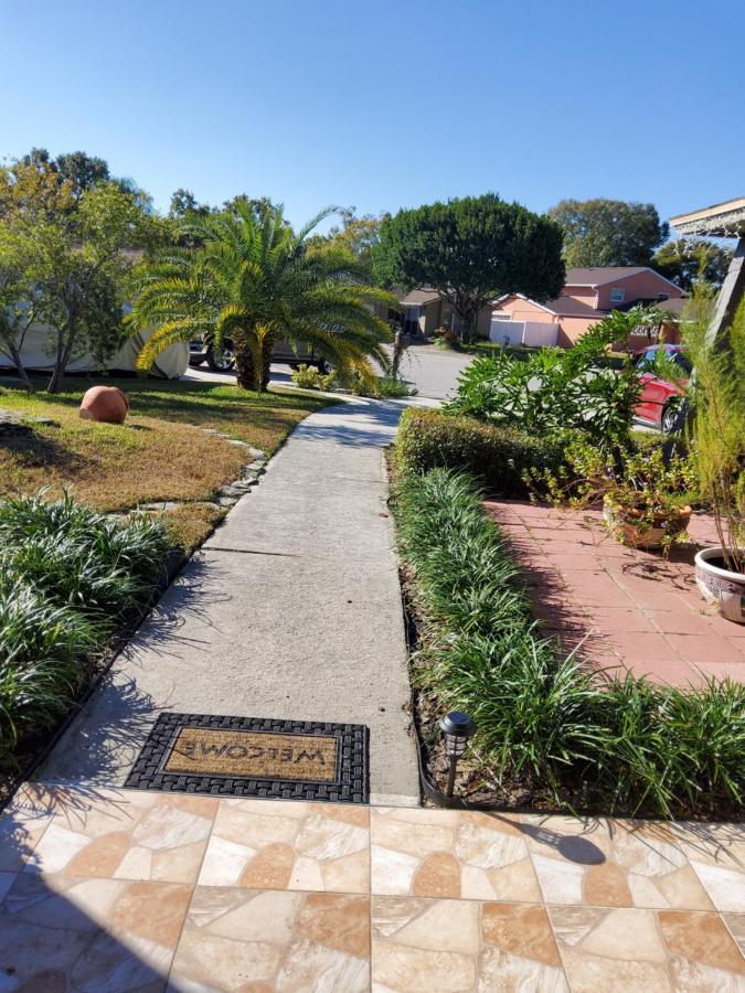 Beautiful Apartment Close To Everything Tampa Exteriér fotografie